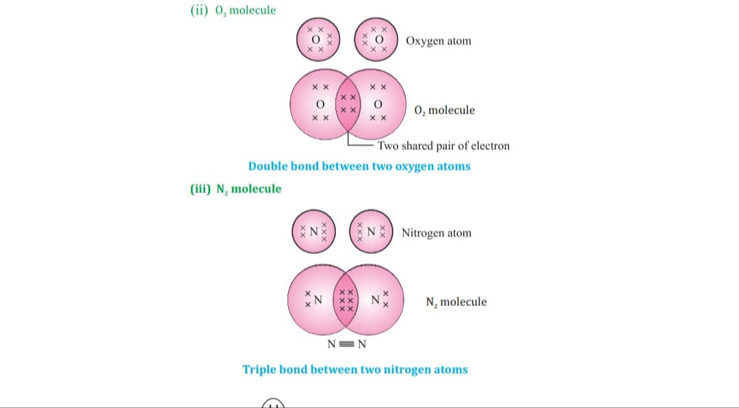 double bond