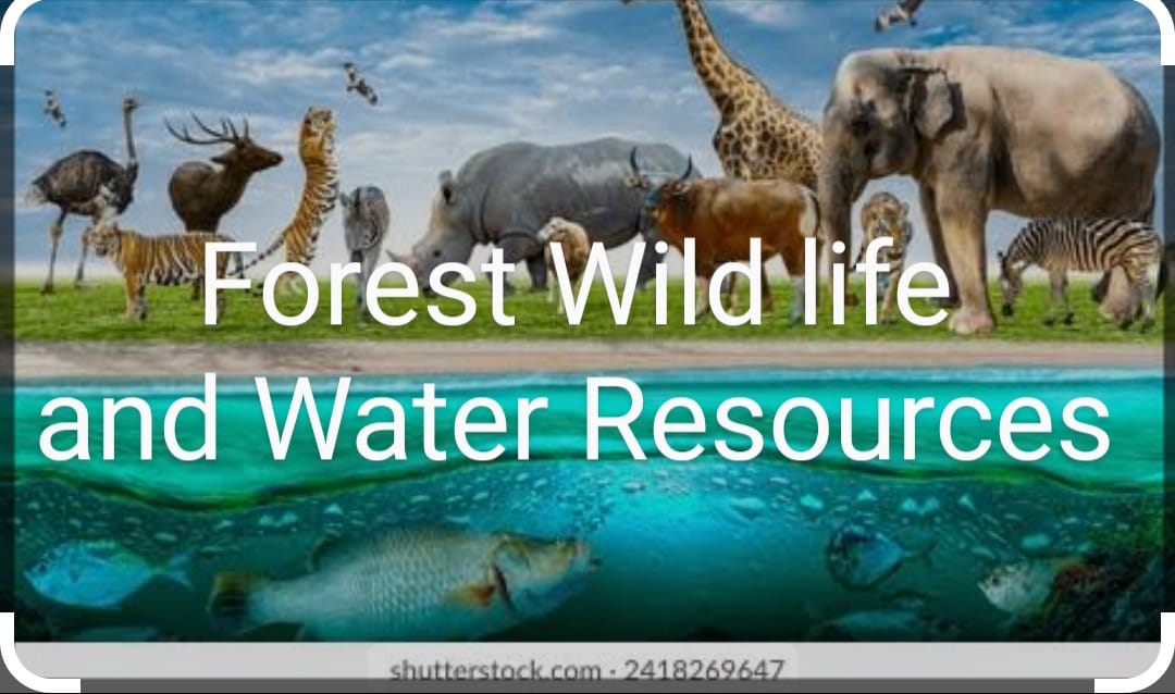 forest wild life and water resources