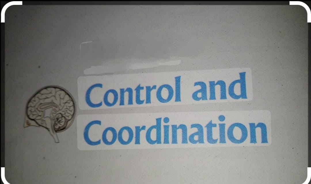 Control and co ordination