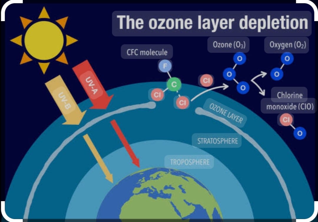 ozone depletion layer