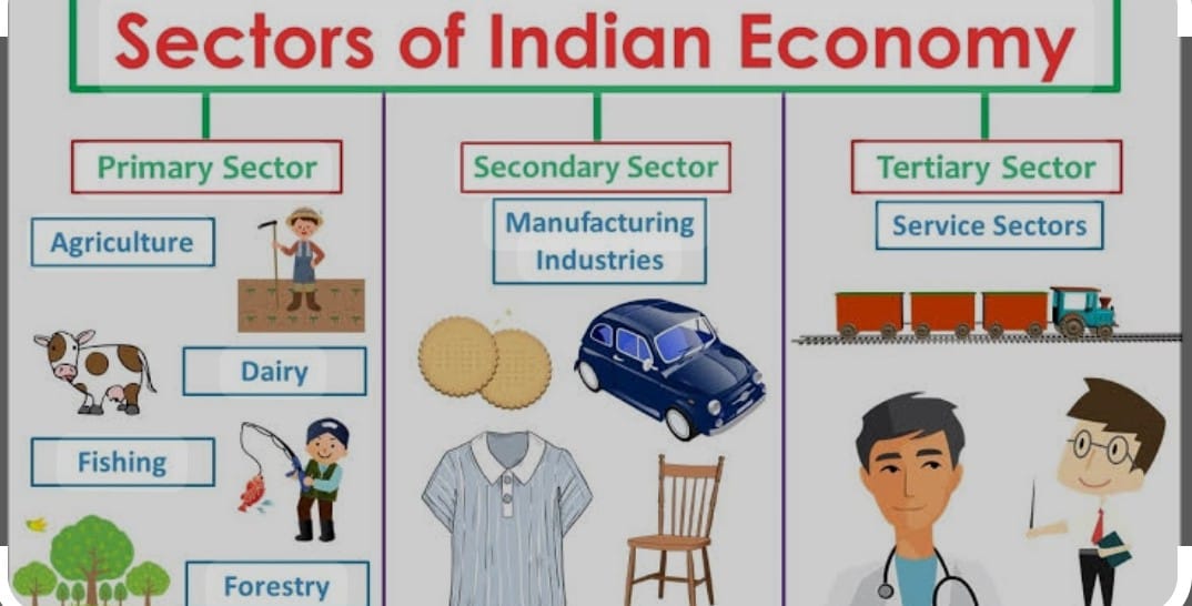 sectors of Indian Economy