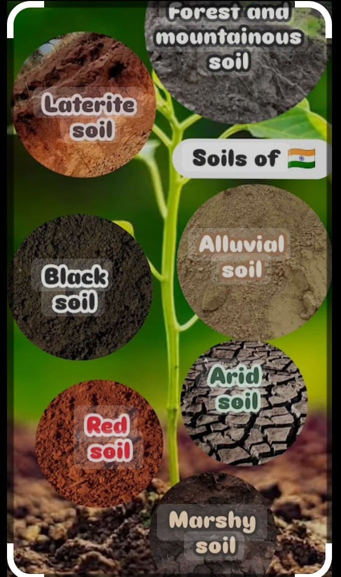 Types of soil