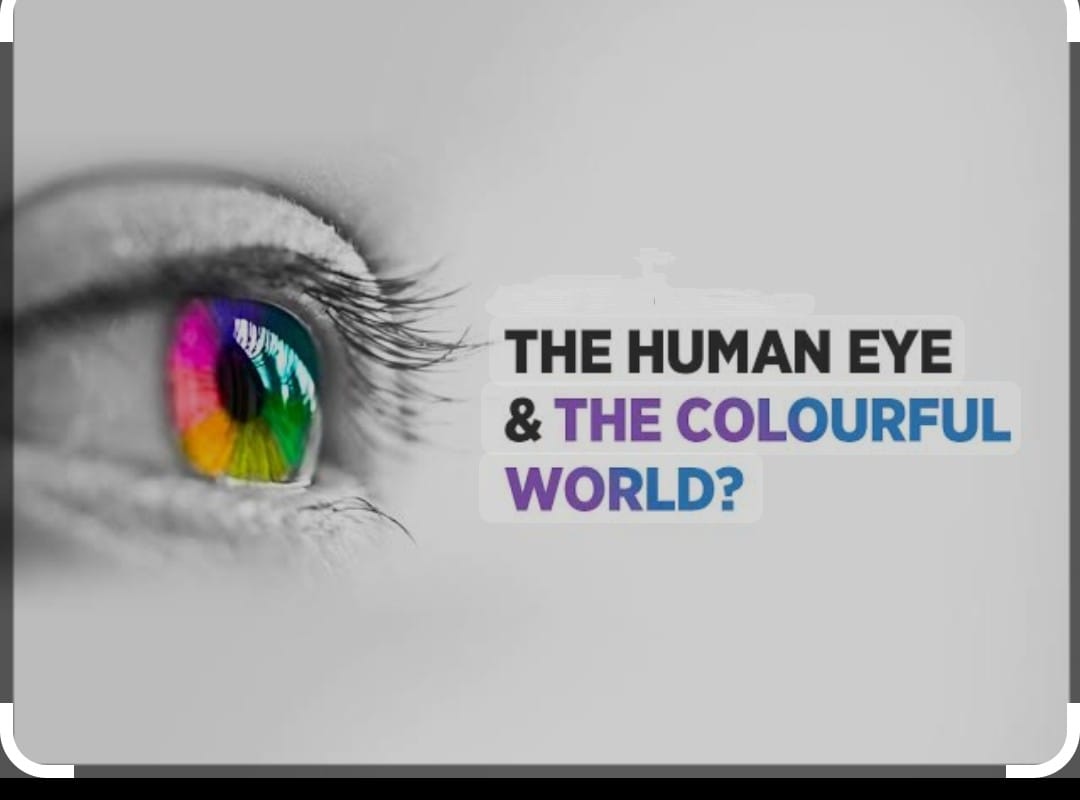 Human Eye and colourful world