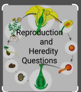 Reproduction Questions