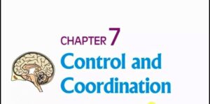 Control and Co ordination