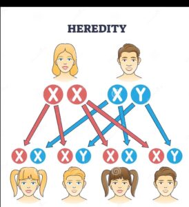 Heredity and Evolution