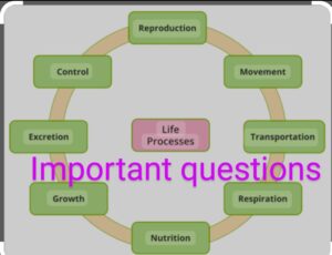 Life Process Important Questions