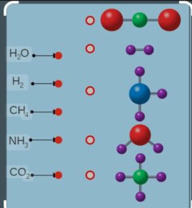 molecular formula