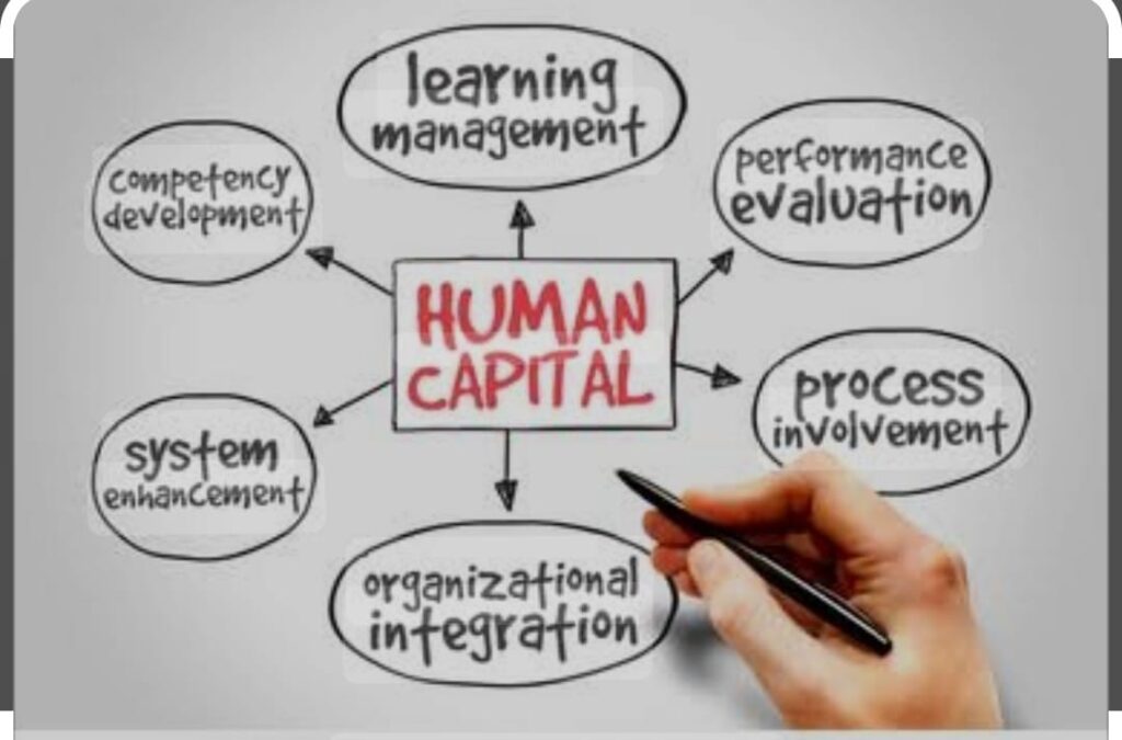 human capital