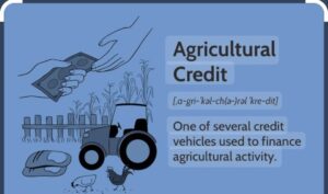 agriculture credit