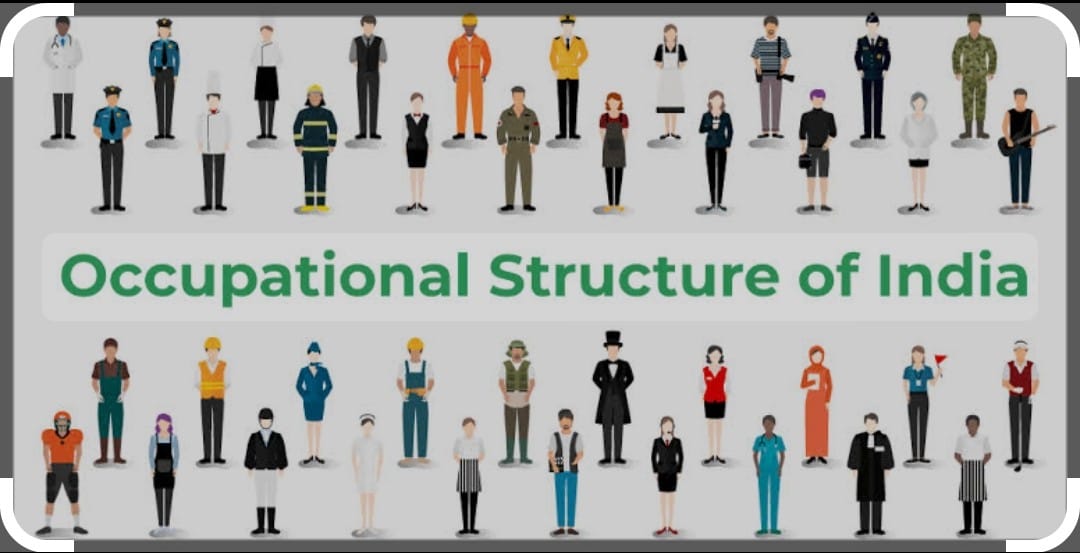  Occupational structure