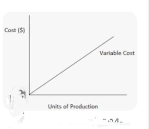 variable cost