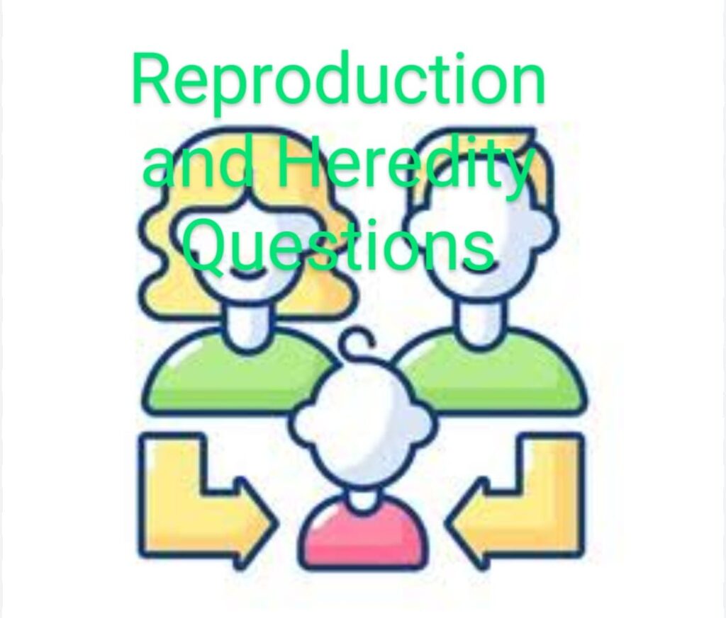 Reproduction and Heredity Questions