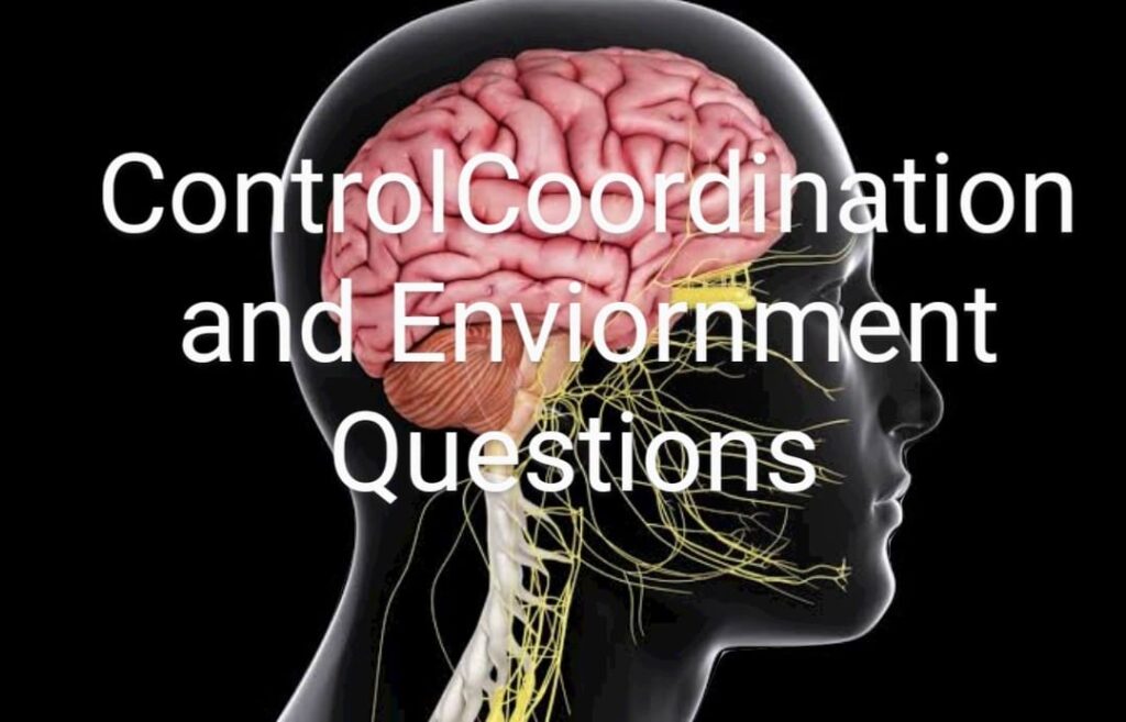 Control Co ordination and Environment Questions